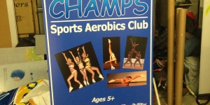 Noosaville Champs Sports Pull-up Banner